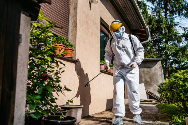 Best Bed Bug Extermination  in Griffin, GA